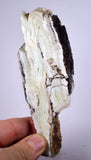 145grs GEM NATURAL SCULPTURE CACTUS SLAB STRONTIANITE ARAGONITE PERU SCENIC CB93
