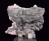 7.3cms RHODOCHROSITE ROSETTE PERU PINK CRYSTALS HUANZALA MINE MINERAL RB623