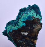 5cm GEM BLUE MALACHITE CHRYSOCOLLA PERU ROSETTE BOTRYOIDAL CRYSTAL GRAPE  UB186
