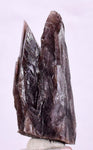 3.6cm GEM AXINITE TWIN CRYSTAL  PERU SUPER SHINY MINERAL SPECIMEN AB35