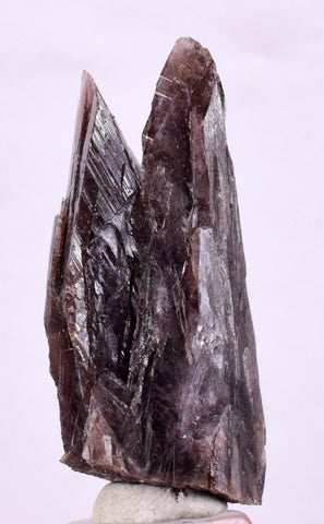 3.6cm GEM AXINITE TWIN CRYSTAL  PERU SUPER SHINY MINERAL SPECIMEN AB35