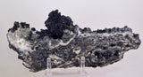 26cms MUSEUM SPHALERITE CHALCOPYRITE PYRITE  QUARTZ CRYSTALS PERU MB119