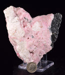 10cms RHODOCHROSITE QUARTZ CALCITE CRYSTALS JORDANITE (?) GALENA PERU RB662