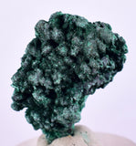 3cms MALACHITE CRYSTALS CONGO MINDINGI MINE SUPER SHINY MINERAL SPECIMEN UB92