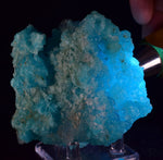 8.1cms NATURAL  SKY BLUE SALAMMONIAC LECONTITE CHILE CRYSTALS MINERAL UB247