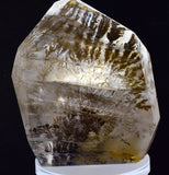 11cms QUARTZ DENDRITIC MANGANESE SHINY POLISHED CRYSTAL MINERAL SPECIMEN QB91