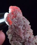 6.2 cms GEM RHODOCHROSITE CRYSTALS PERU MANUELITA MINE MINERAL SPECIMEN RB331