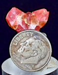 1.8cms TWIN SCEPTER RHODOCHROSITE CRYSTALS PERU UCHUCHACCUA MINE RB479