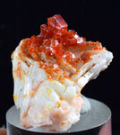 2.4cm VANADINITE CRYSTAL BARITE MIBLADEN MOROCCO MINIATURE MINERAL SPECIMEN WB08