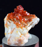 2.4cm VANADINITE CRYSTAL BARITE MIBLADEN MOROCCO MINIATURE MINERAL SPECIMEN WB08