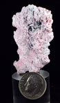 4.9cms RHODOCHROSITE ROSETTE PERU PINK CRYSTALS HUANZALA MINE MINERAL RB545