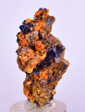 4.2cms GEM WULFENITE FLUORITE MIMETITE CRYSTALS ALAMO ARIZONA USA MINERAL YB32
