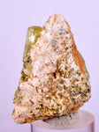 3.5cms YELLOW APATITE CRYSTALS IMILCHIL MOROCCO MINERAL SPECIMEN AB235