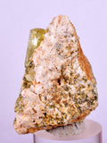 3.5cms YELLOW APATITE CRYSTALS IMILCHIL MOROCCO MINERAL SPECIMEN AB235
