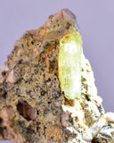3.5cms YELLOW APATITE CRYSTALS IMILCHIL MOROCCO MINERAL SPECIMEN AB235