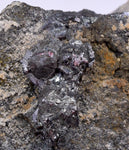 6.9cms PROUSTITE RED RUBY SILVER PERU UCHUCCHACUA MINE MINERAL SPECIMEN HB147