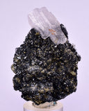 5.9cms MANGANOAN CALCITE QUARTZ PYRITE CHALCOPYRITE SCHEELITE ? PERU GB67