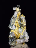 0.8cm UNIQUE NATIVE GOLD INCAS PYRITE PERU QUARTZ THUMBNAIL CRYSTAL LB176