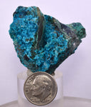 3.8cms QUARTZ CHRYSOCOLLA BOTRYOIDAL TENTADORA MINE PERU MINERAL SPECIMEN CB104