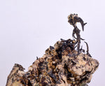 9.5cm NATIVE SILVER WIRES PERU UCHUCCHACUA MINE PYRITE PROUSTITE MANGANITE HB163