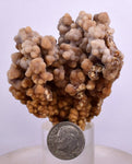 5.2cms ARAGONITE BOTRYOIDAL CRYSTALS AESTHETIC MINERAL SPECIMEN PERU EB46