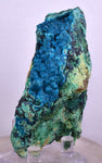8.2cms QUARTZ CHRYSOCOLLA BOTRYOIDAL TENTADORA MINE PERU MINERAL SPECIMEN CB121