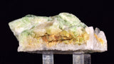 7.5cms AUGELITE CRYSTAL PERU DARK GREEN BRIGHT NEEDLE QUARTZ PASTO BUENO AB233