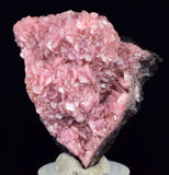 4.3cms RHODOCHROSITE CRYSTAL  N'CHWANING II MINE SOUTH AFRICA  RB652