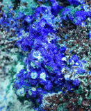 7.1cms AZURITE MALCHITE CRYSTALS PERU MINERAL SPECIMEN CUSCO UB209