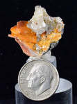 2cms CERUSSITE BARITE GALENA CRYSTALS MOROCCO MINERAL SPECIMEN KB55