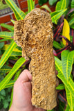 19cms ARAGONITE STALACTITE CALCITE CRYSTALS AESTHETIC MINERAL SPECIMEN PERU EB28