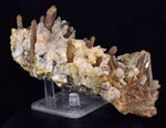 14cms CALCITE TOOTH DOG WITH QUARTZ CRYSTALS PERU SHINY MINERAL SPECIMEN GB47