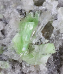6.5cms AUGELITE CRYSTAL PERU DARK GREEN BRIGHT NEEDLE QUARTZ PASTO BUENO AE388