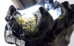 6.1cms CASSITERITE BRILLIANT CRYSTALS FACET GRADE SHINY BOLIVIA MINERAL EB57