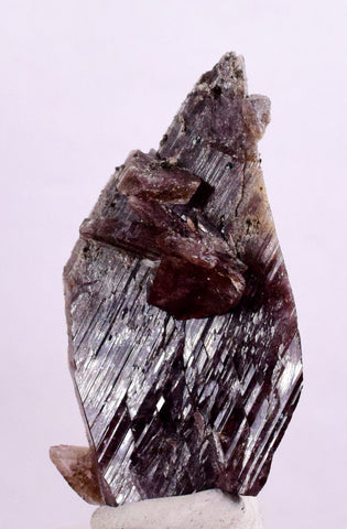 4.4cm GEM AXINITE CRYSTAL PERU SUPER SHINY MINERAL SPECIMEN COLLECTOR AB31
