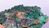 16cms GEM BROCHANTITE ATACAMITE LINARITE CHRYSOCOLLA CHILE Z43