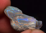 2.2 cms BLUE OPAL SHELL CLAMP FOSSIL AUSTRALIA COBBER PEDY 2000 DISCOVERY  OB141