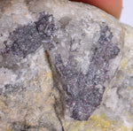 8.5cms PROUSTITE RED RUBY SILVER MINERAL SPECIMEN COLLECTOR HB151