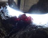 6.9cms PROUSTITE RED RUBY SILVER PERU UCHUCCHACUA MINE MINERAL SPECIMEN HB147