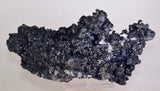 26cms MUSEUM SPHALERITE CHALCOPYRITE PYRITE  QUARTZ CRYSTALS PERU MB119