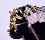 3.2cms GOLDEN RUTILE HEMATITE SPRAY NEEDLES CRYSTALS TITANIUM BAHIA BRAZIL  XB03
