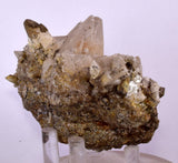 10.5cms CALCITE TOOTH DOG WITH QUARTZ CRYSTALS PERU SHINY MINERAL SPECIMEN GB17