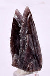 3.6cm GEM AXINITE TWIN CRYSTAL  PERU SUPER SHINY MINERAL SPECIMEN AB35