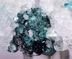 5cms GEM CLINOATACAMITE CRYSTAL MALACHITE LILY MINE 2000 DISCOVERY PERU AB159