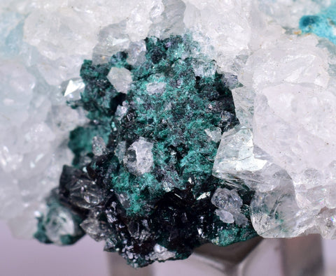 5cms GEM CLINOATACAMITE CRYSTAL MALACHITE LILY MINE 2000 DISCOVERY PERU AB159