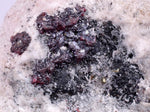 4.8cms PROUSTITE RED RUBY SILVER PERU UCHUCCHACUA MINE MINERAL SPECIMEN HB139