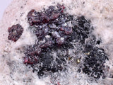 4.8cms PROUSTITE RED RUBY SILVER PERU UCHUCCHACUA MINE MINERAL SPECIMEN HB139