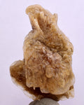 4.3 cms DESERT ROSE SELENITE CRYSTAL PERU GOLDEN SUISEKI TRANSLUCENT TB94