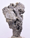 4.5cms NATIVE SILVER WIRE PERU ACANTHITE UCHUCCHACUA MINE MINERAL SPECIMEN HB183