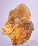 11.5cms GOLDEN SELENITE CRYSTAL PERU FISH TAIL SUISEKI TRANSLUCENT TB127